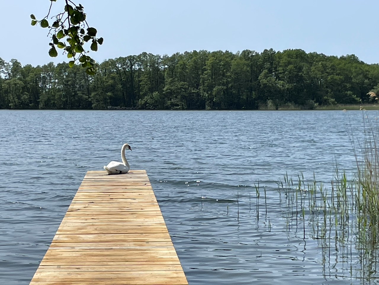Landhaus Kastanie Information about the banquet halls web