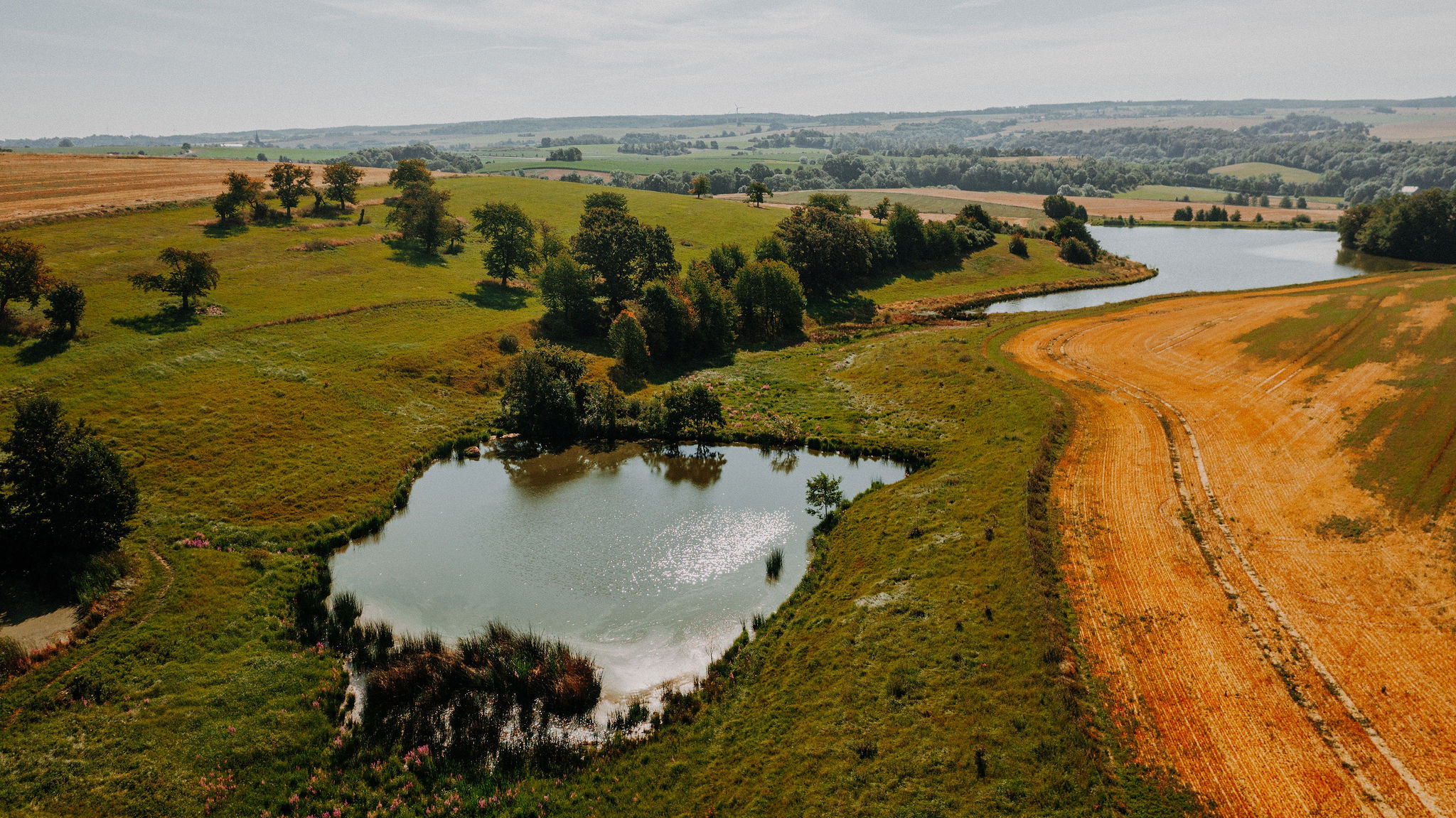 Hochzeitslocation: Rittergut Positz