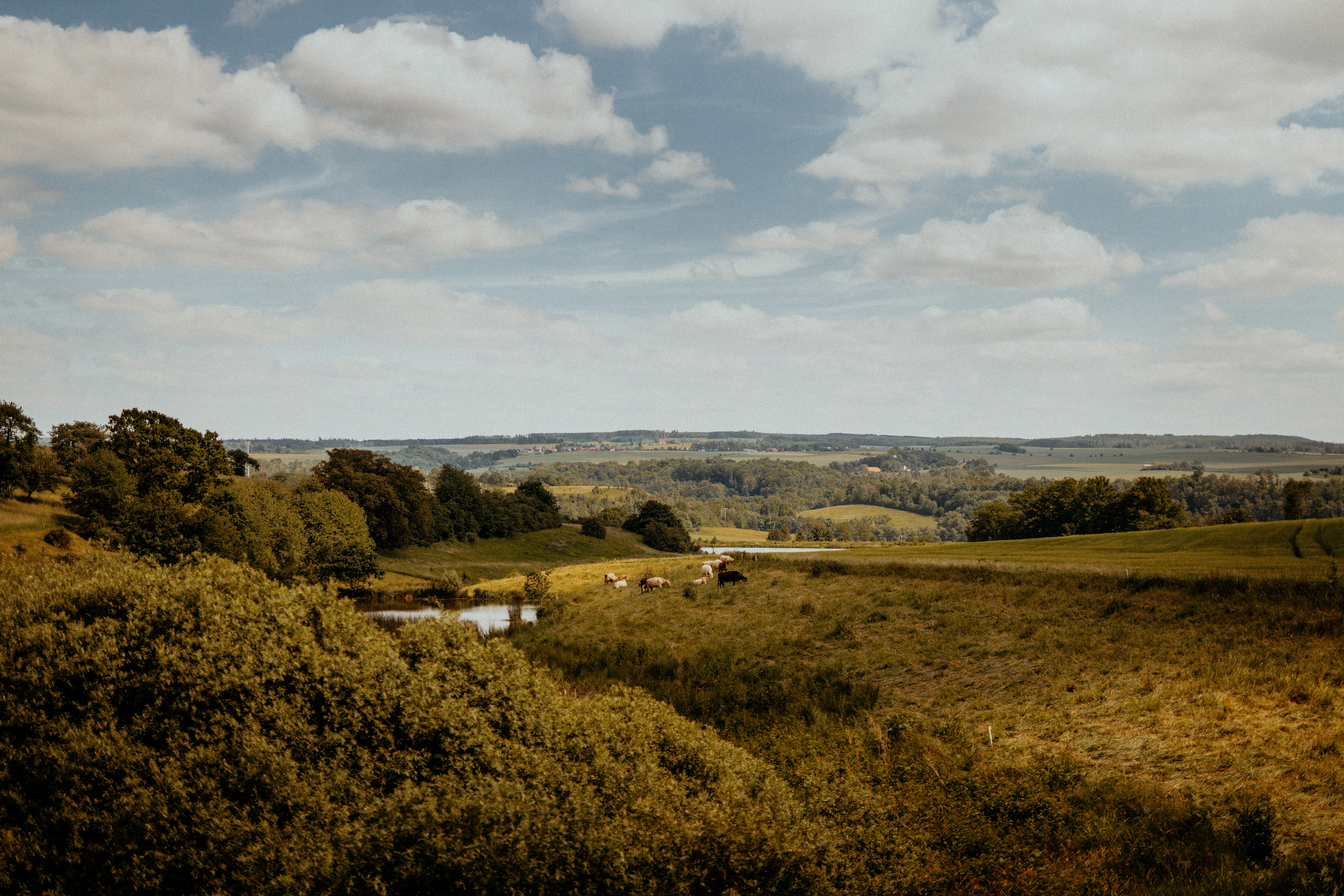 Hochzeitslocation: Rittergut Positz