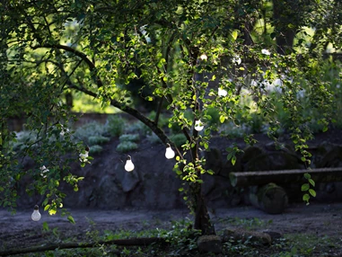 Hochzeit: Villa Renting