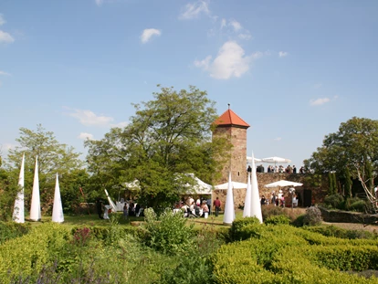 Matrimonio - Flonheim - Burg Battenberg / Pfalz