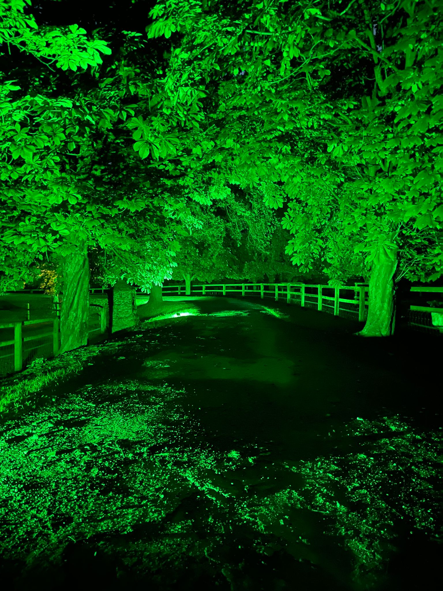 Hochzeit: Allee - Zufahrt bei Nacht - Burg Bocholt Nettetal