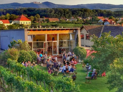 Wedding - Pottenbrunn - Das Weingut Moser Hermann bei Krems. - Weingut Moser Hermann