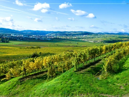 Wedding - Pottenbrunn - Weingut Moser Hermann