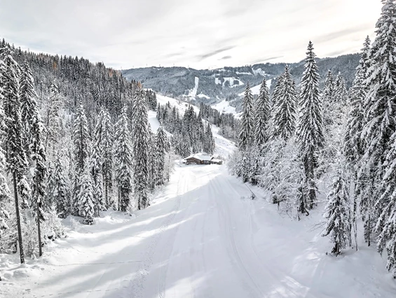 Hochzeitslocation: Scheppal Alm