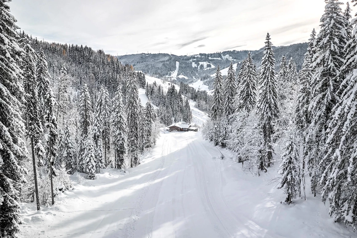 Hochzeitslocation: Scheppal Alm