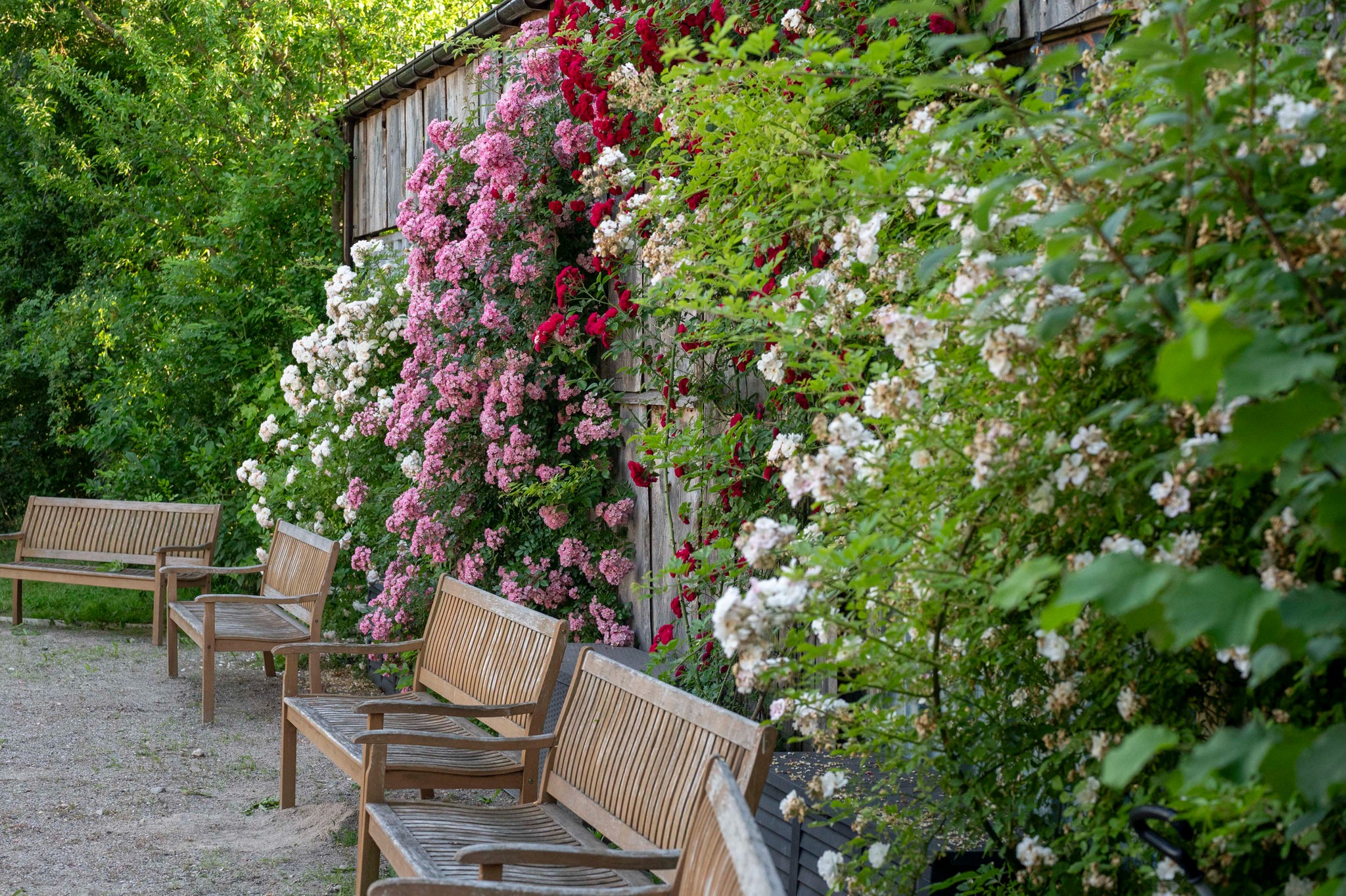 Hochzeitslocation: Alter Pferdestall Fahren