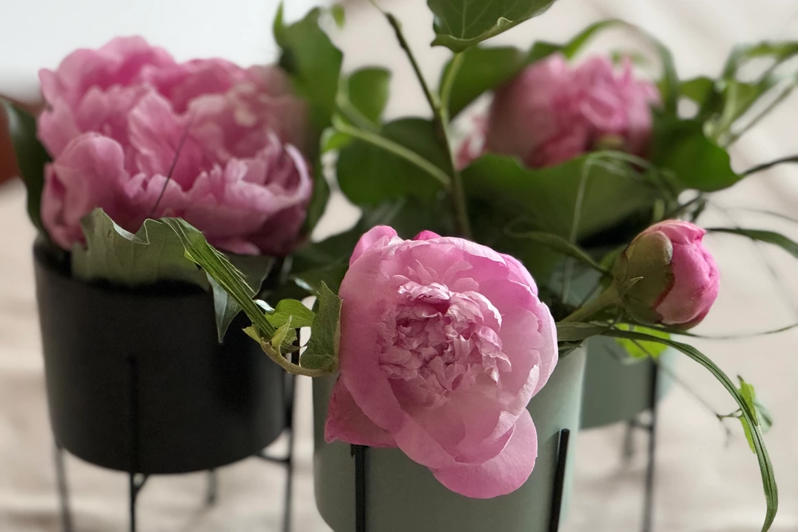 Hochzeitslocation: PATRIX Hotel | Restaurant | Bar
Dekoration - PATRIX Hotel | Restaurant | Bar