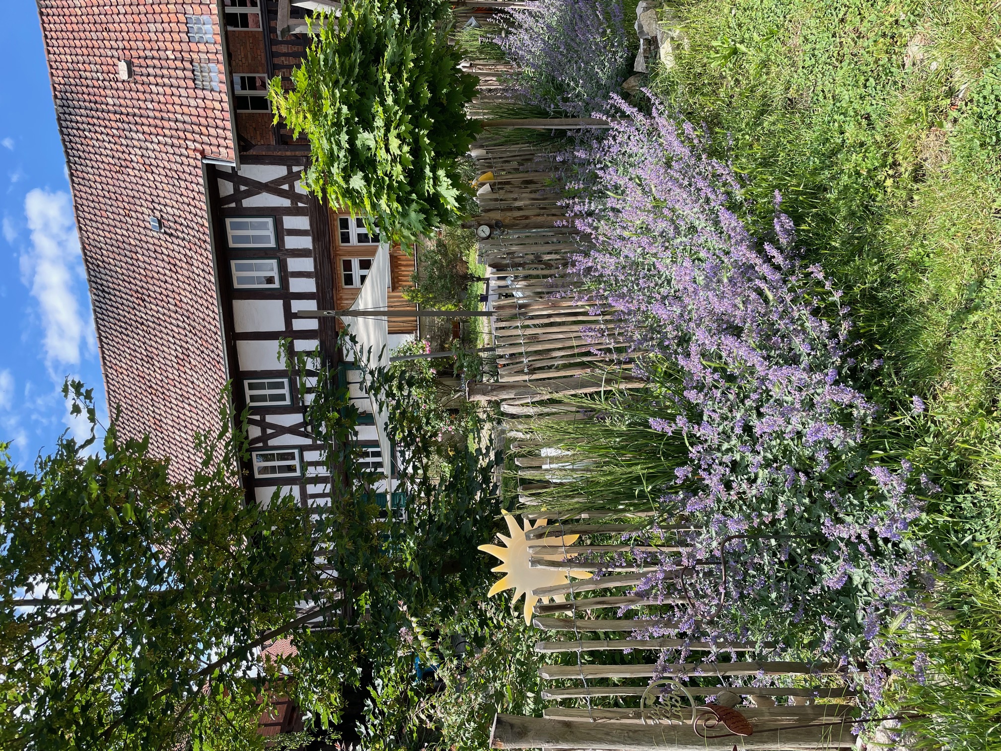 Hochzeit - Blankenburg (Landkreis Harz) - Magdalenenhof am Huywald