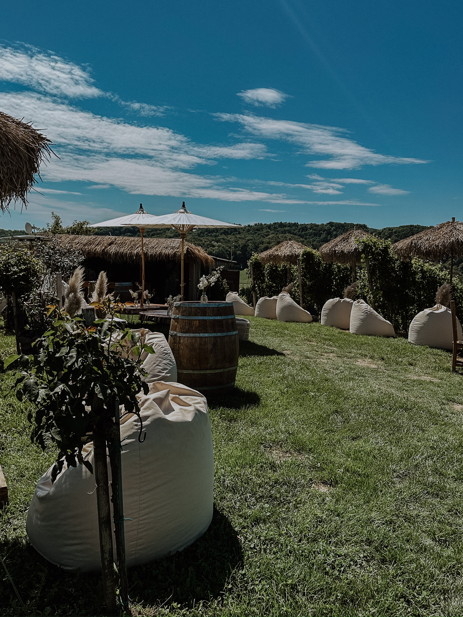 Hochzeit: Agape Weingut - Weingut Holler