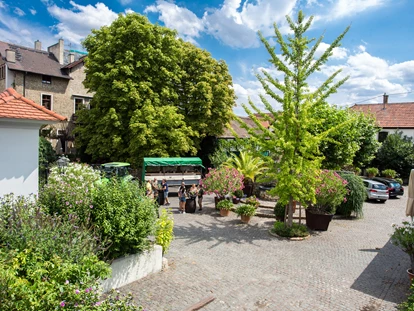 Matrimonio - Flonheim - Landhotel Battenheimer Hof