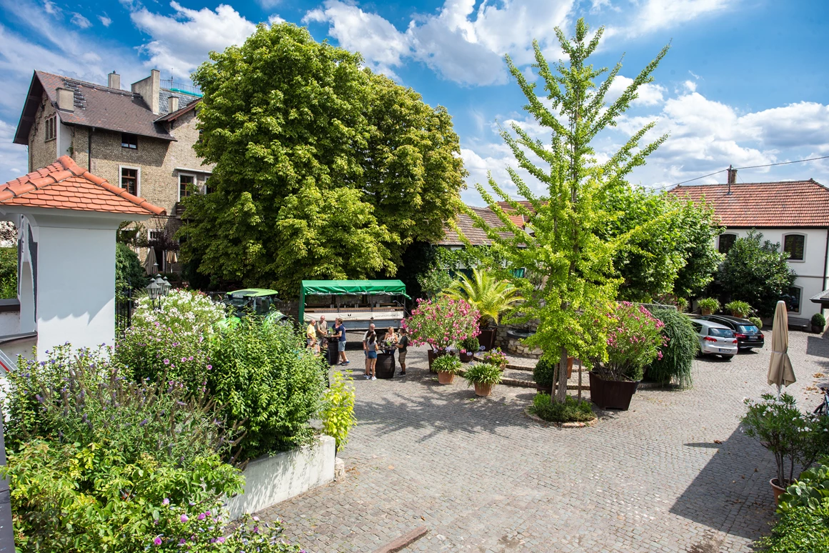 Hochzeit: Landhotel Battenheimer Hof