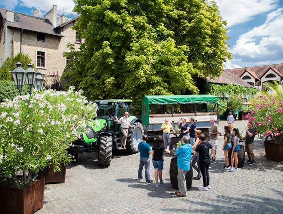 Hochzeit: Landhotel Battenheimer Hof