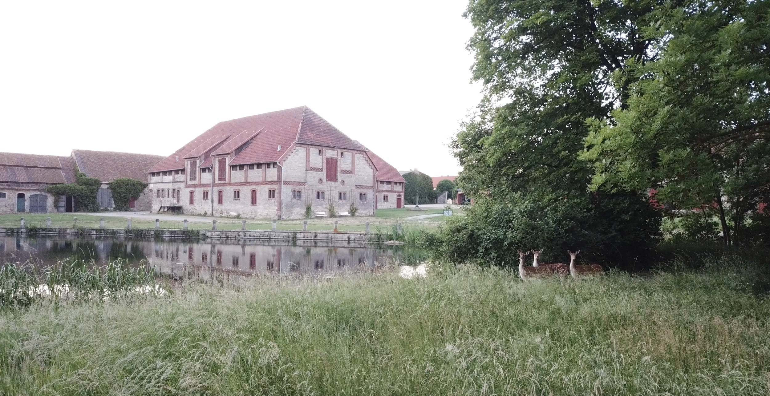 Hochzeitslocation: Cuhstall