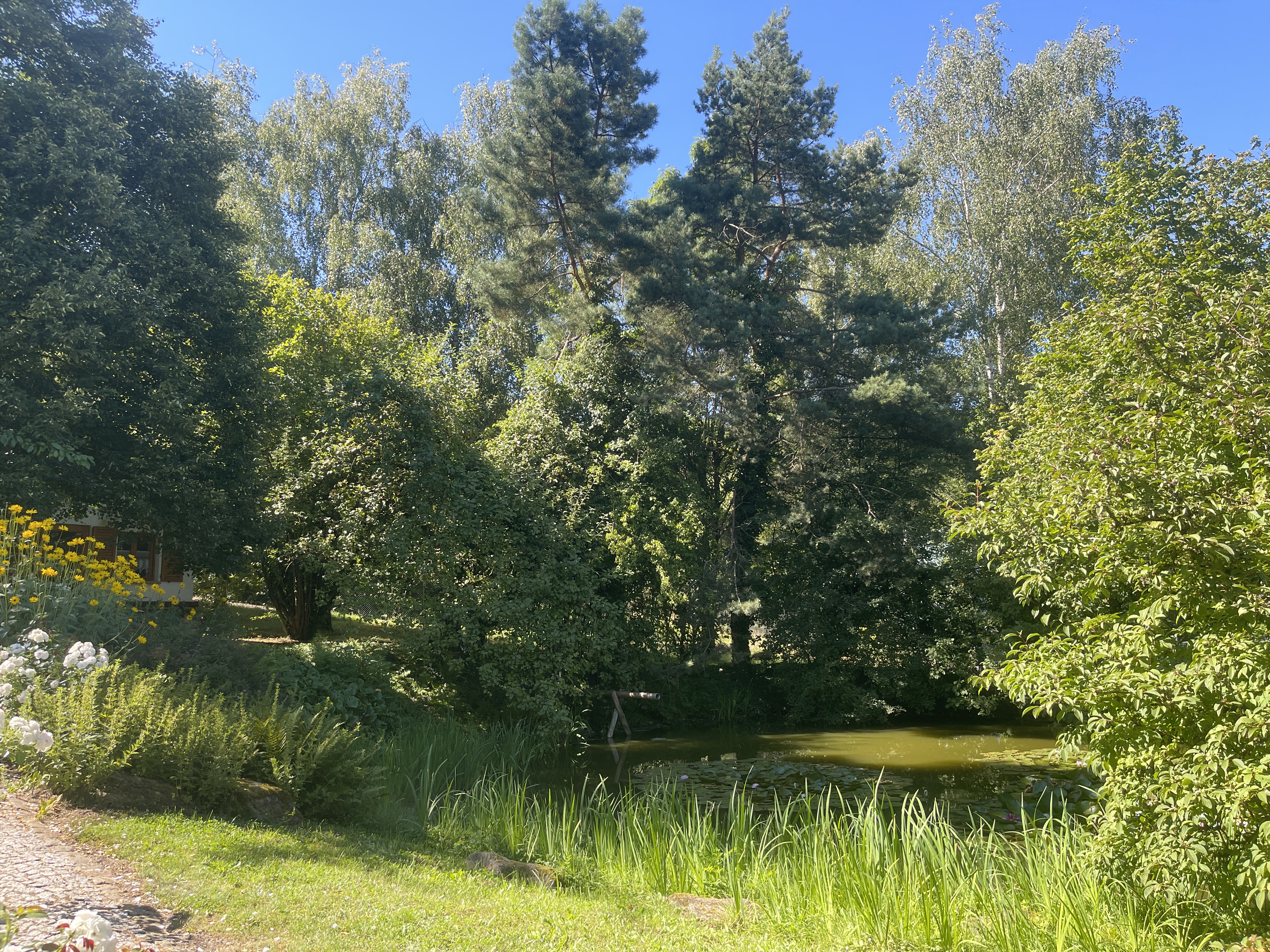 Hochzeit: Goldfischteich - Eventlocation-Falkenstein