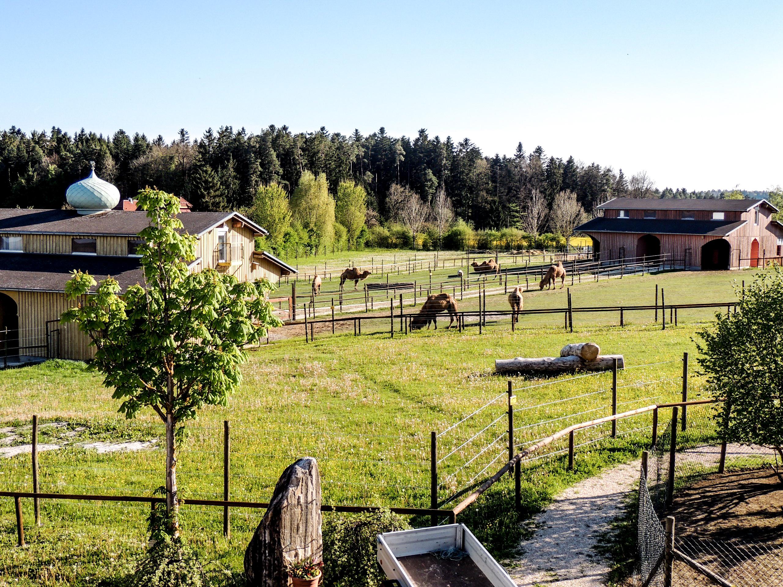 Hochzeitslocation: Freizeitpark Rotfelden