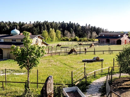 Hochzeit - Bad Herrenalb - Freizeitpark Rotfelden