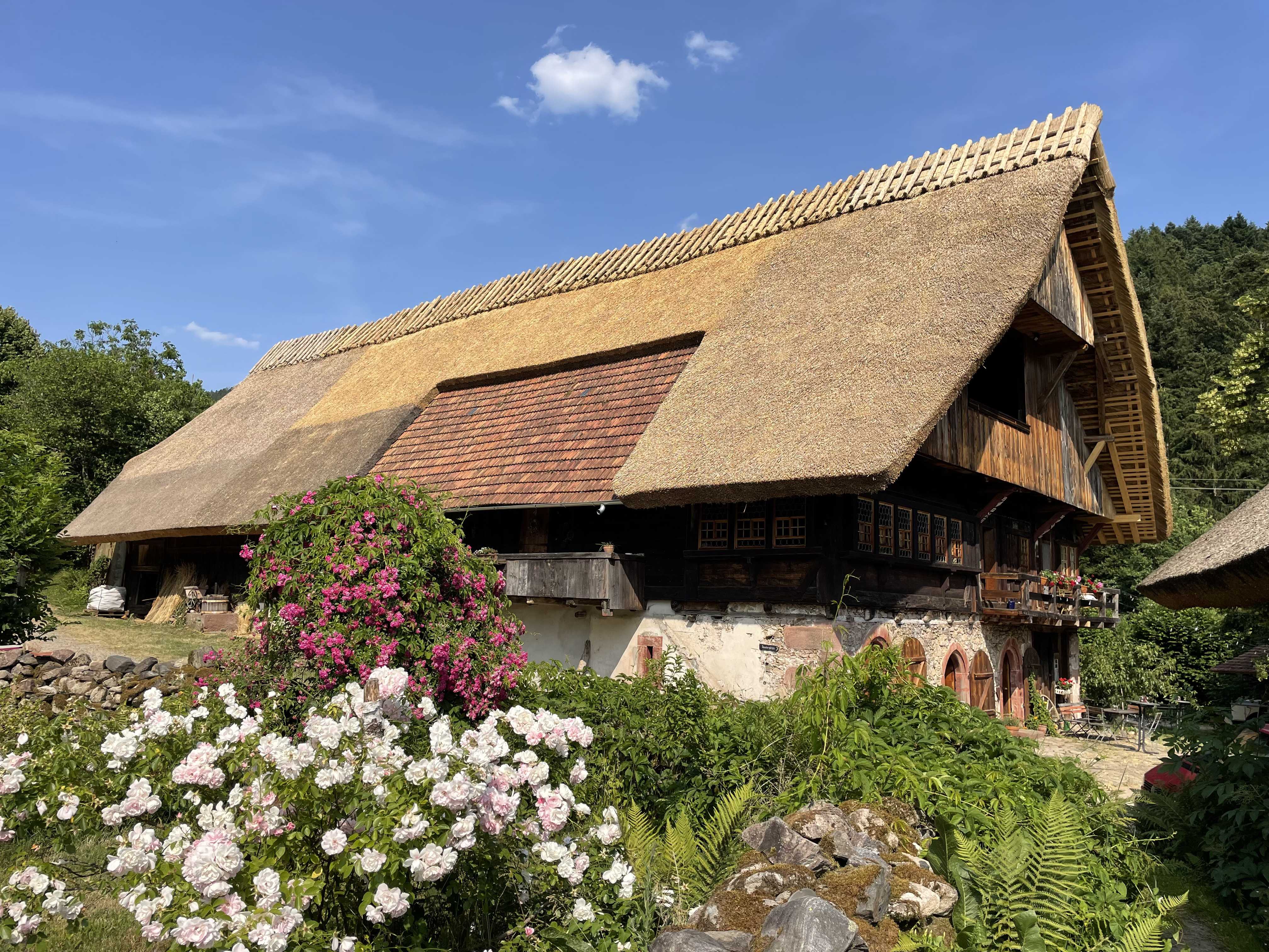 Hochzeit - Frühlingshochzeit - Hausach - Klausenbauernhof Hauptgebäude 2024 - Klausenbauernhof