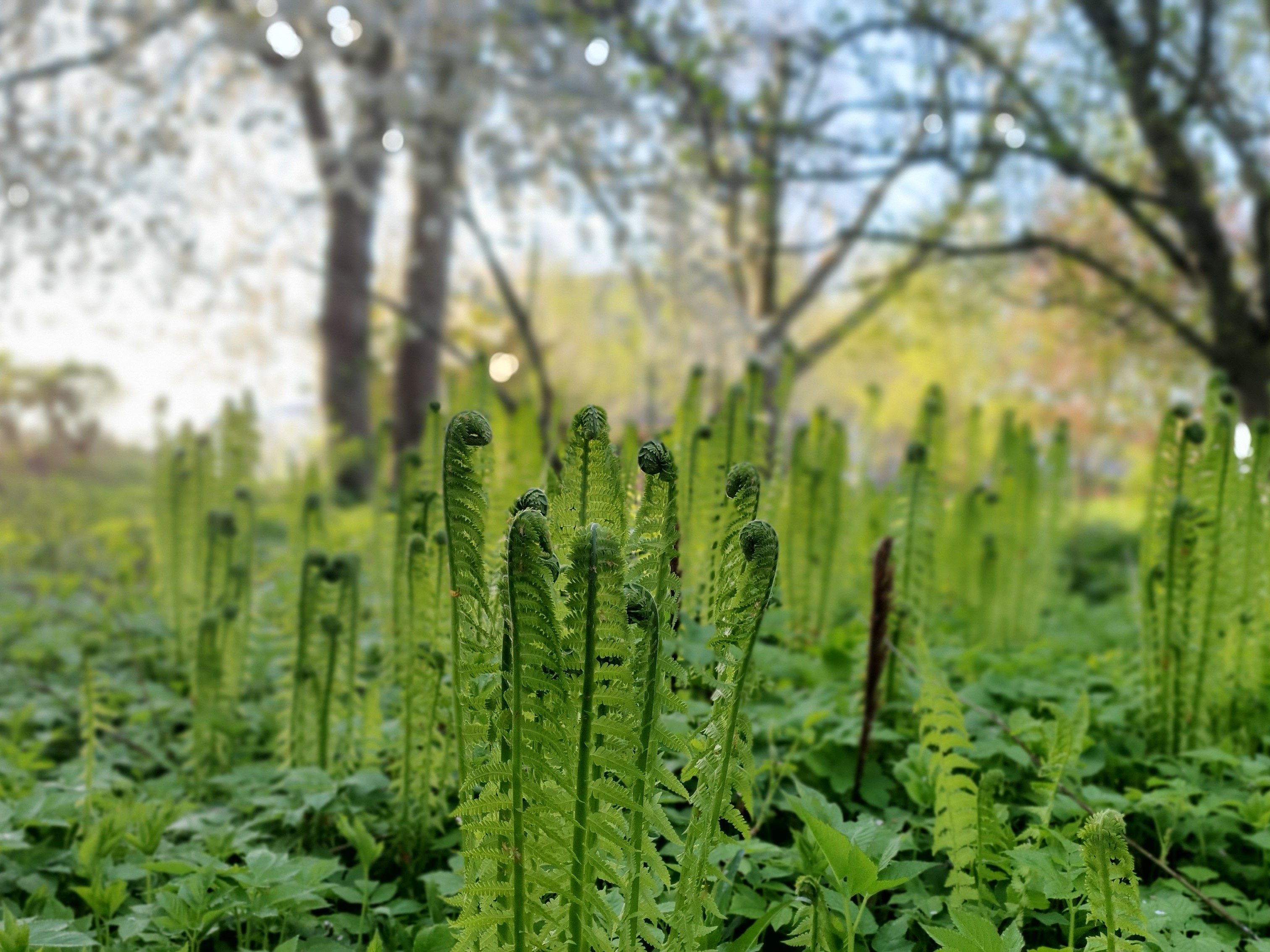 Hochzeitslocation: Gutshaus auf dem Landwert Hof