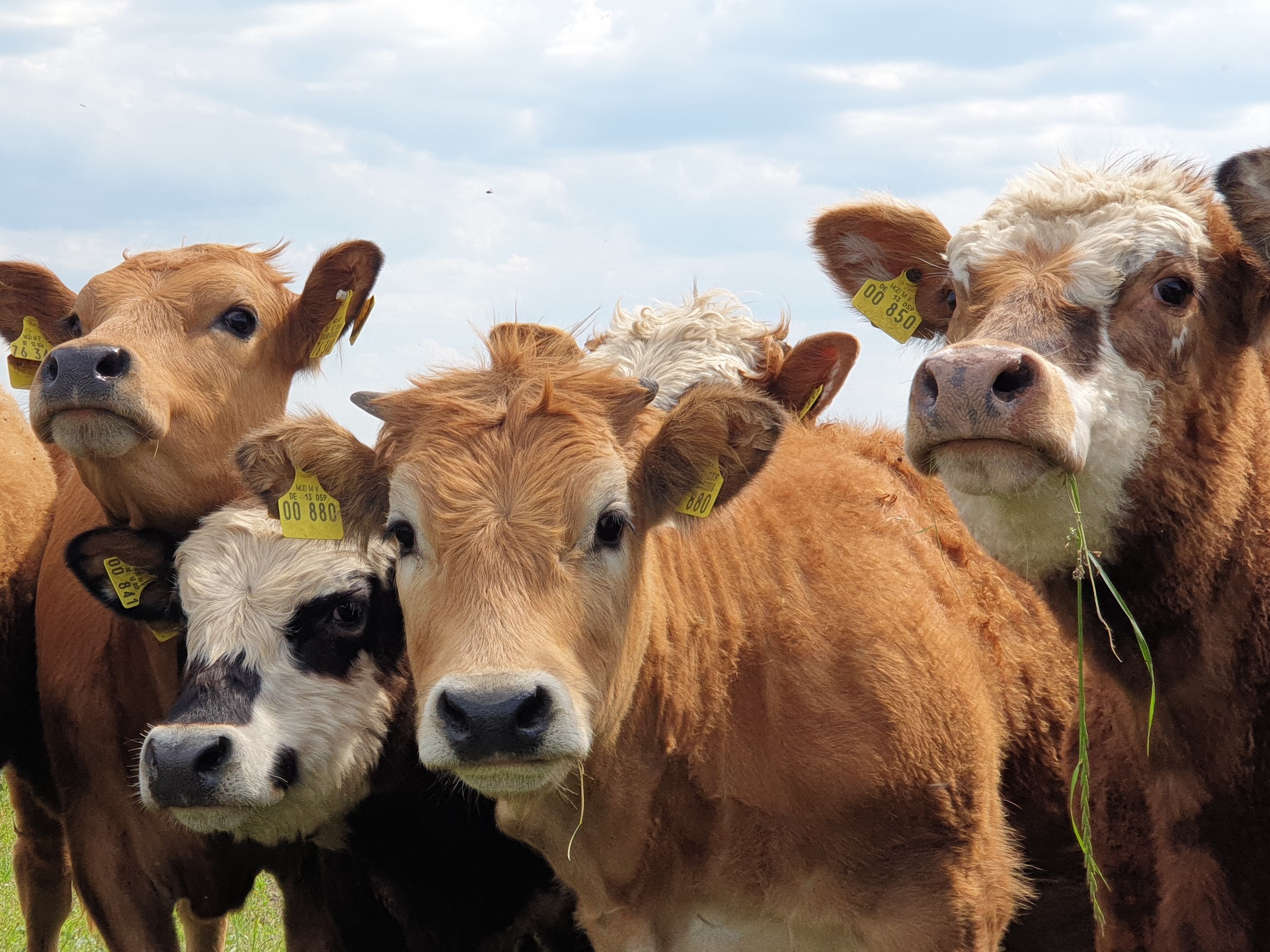 Hochzeitslocation: Gutshaus auf dem Landwert Hof
