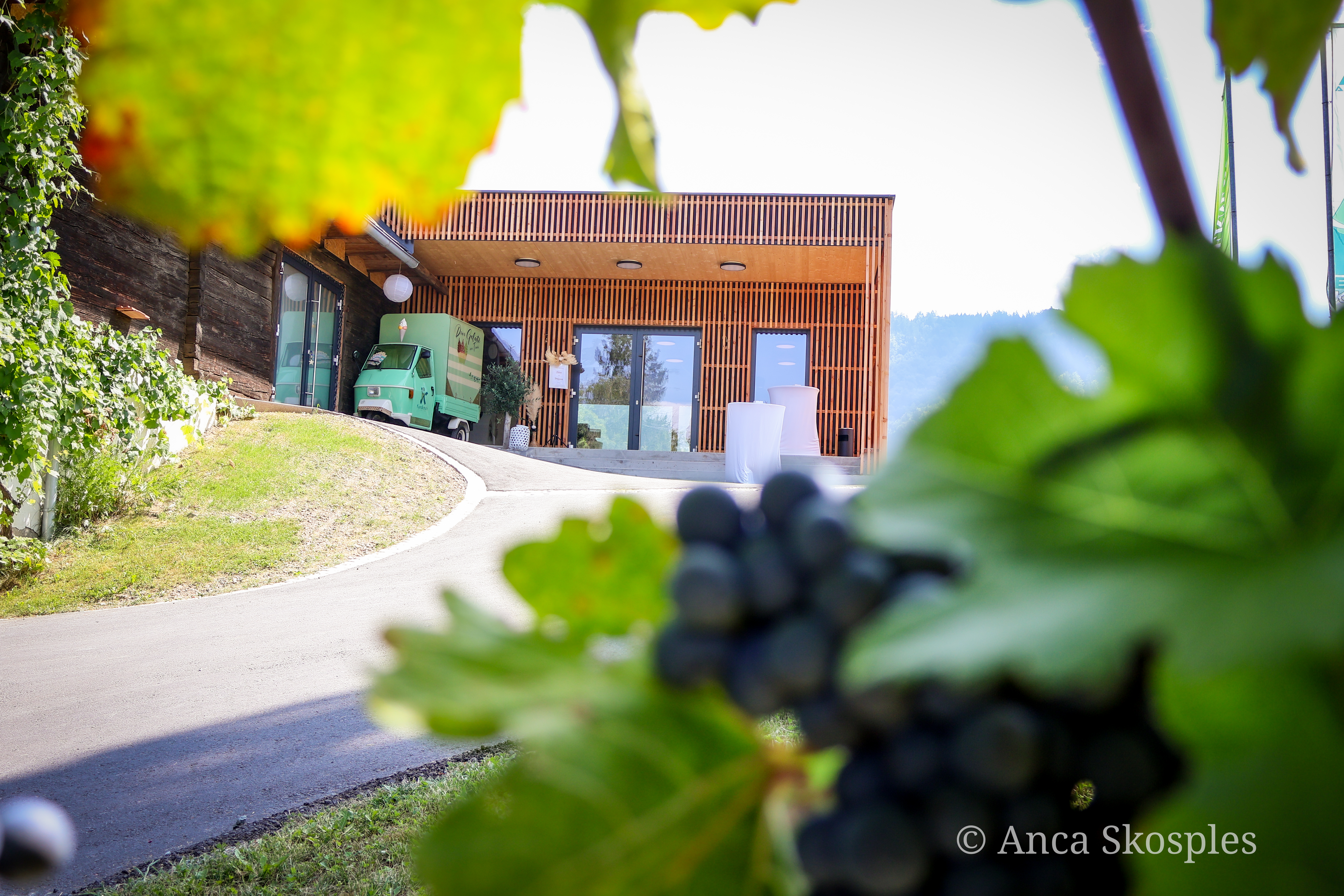 Hochzeit: Weinbau Stelzl Altenbacher 