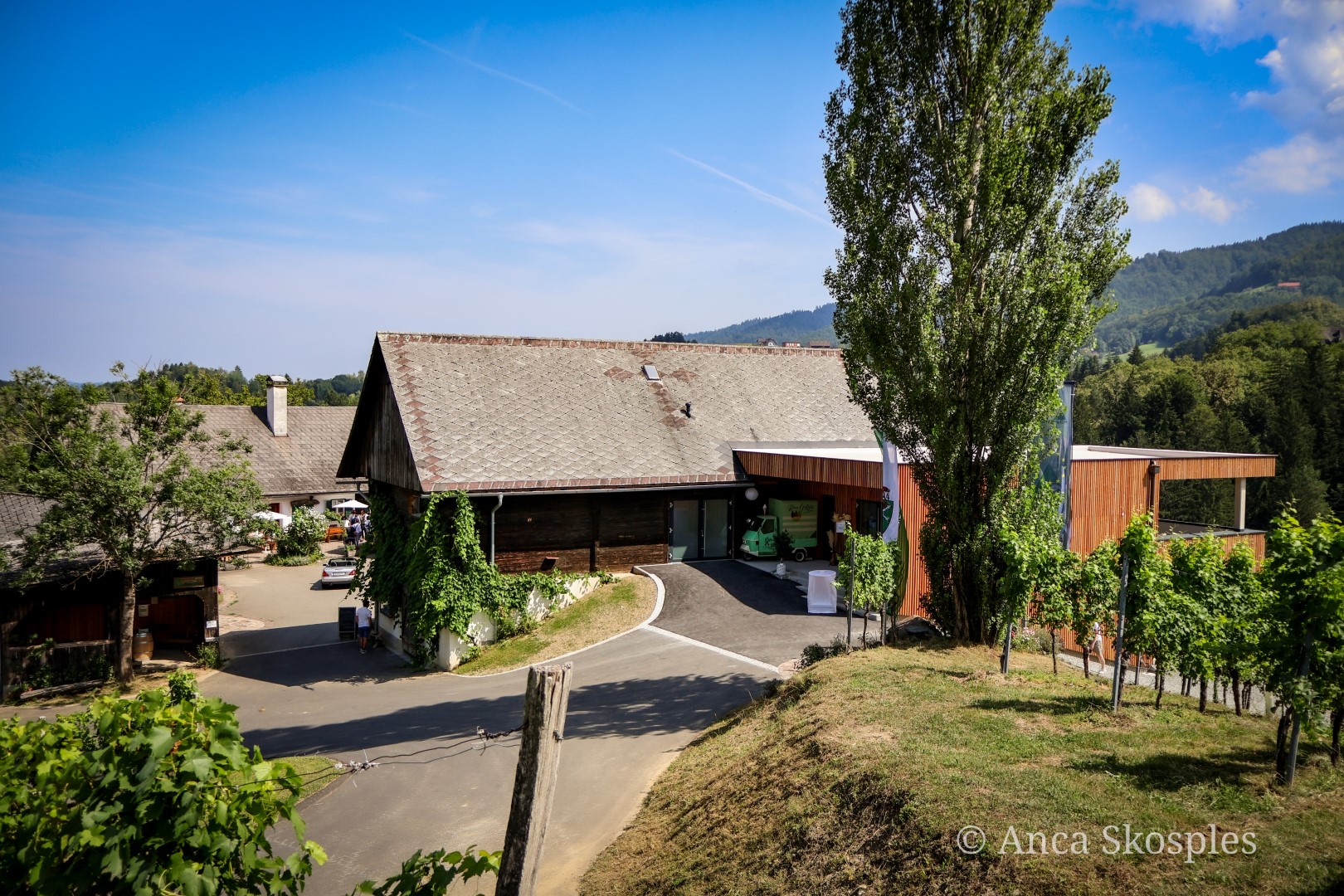 Hochzeit - Umgebung: am Land - Steiermark - Weinbau Stelzl Altenbacher 
