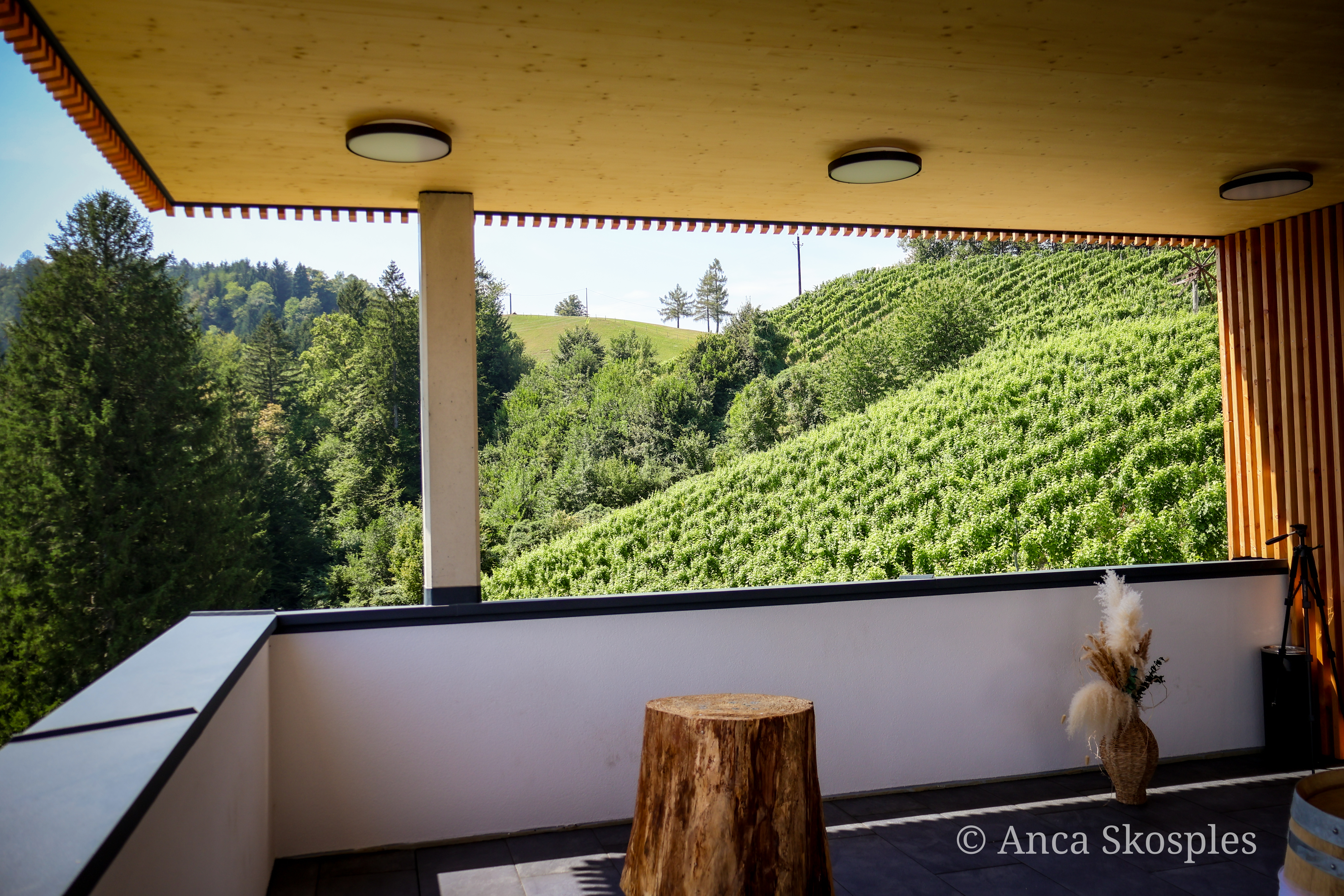 Hochzeit: Weinbau Stelzl Altenbacher 