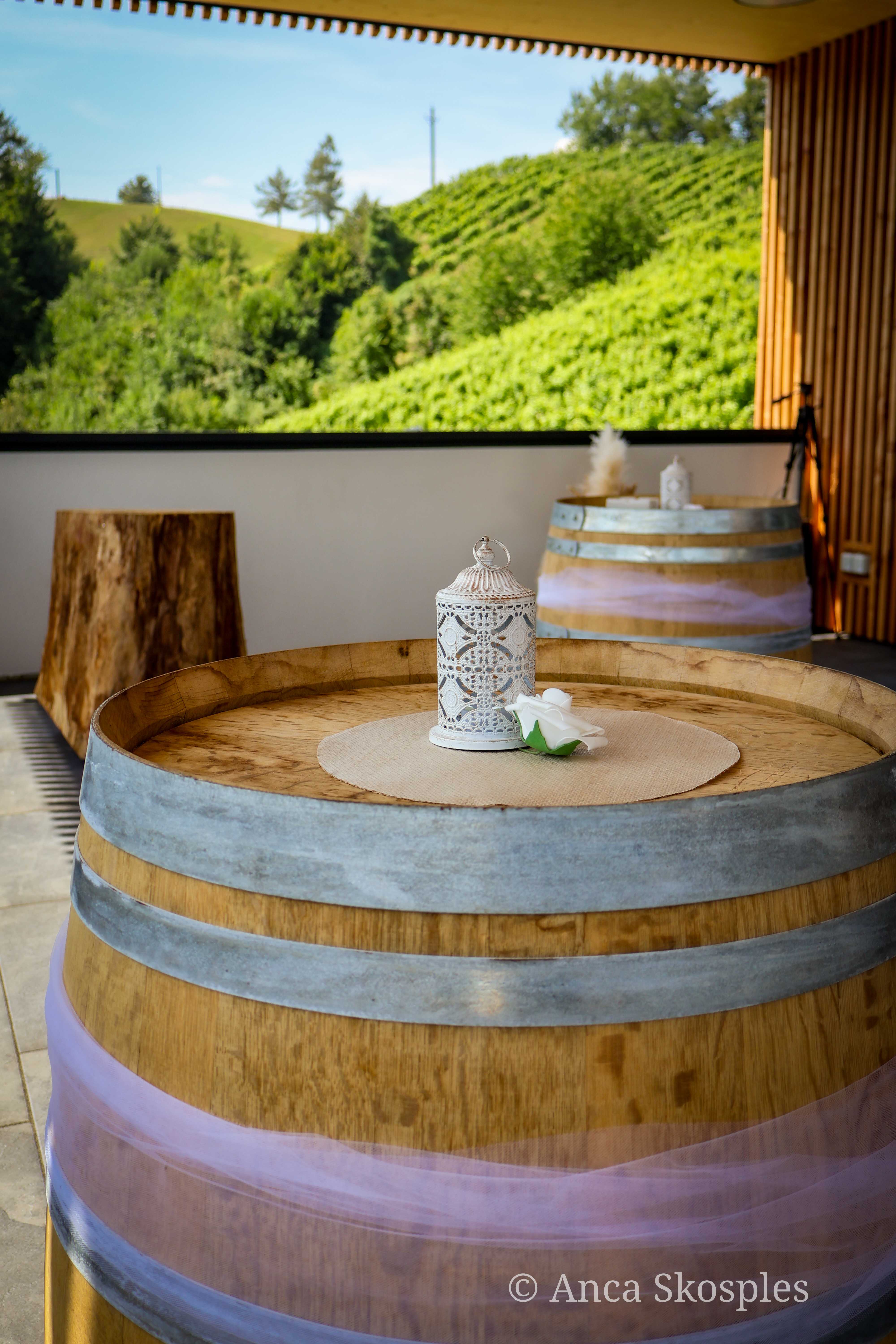 Hochzeit: Weinbau Stelzl Altenbacher 