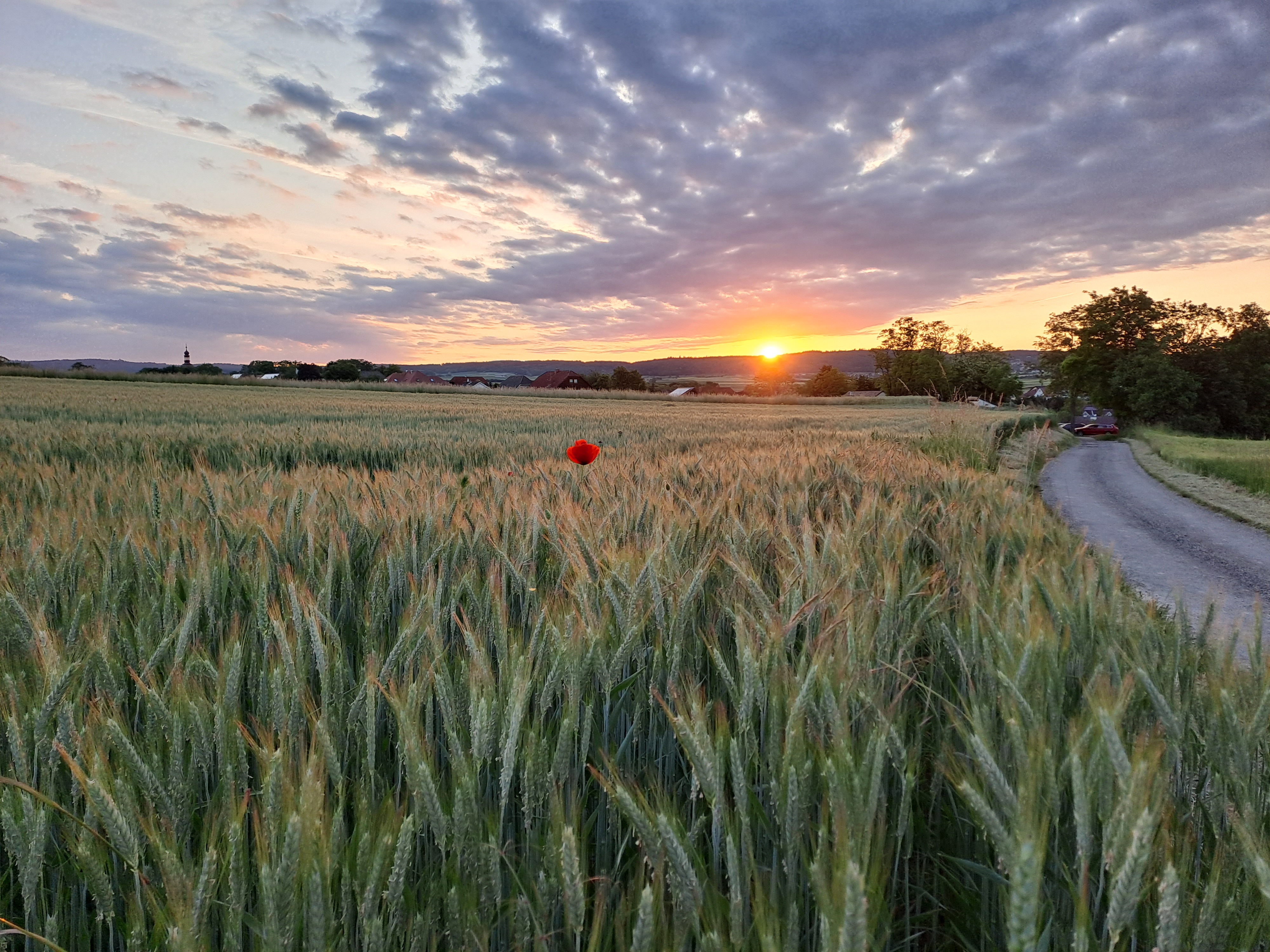 Hochzeitslocation: Der Sommer im Weinviertel. - Quartier35
