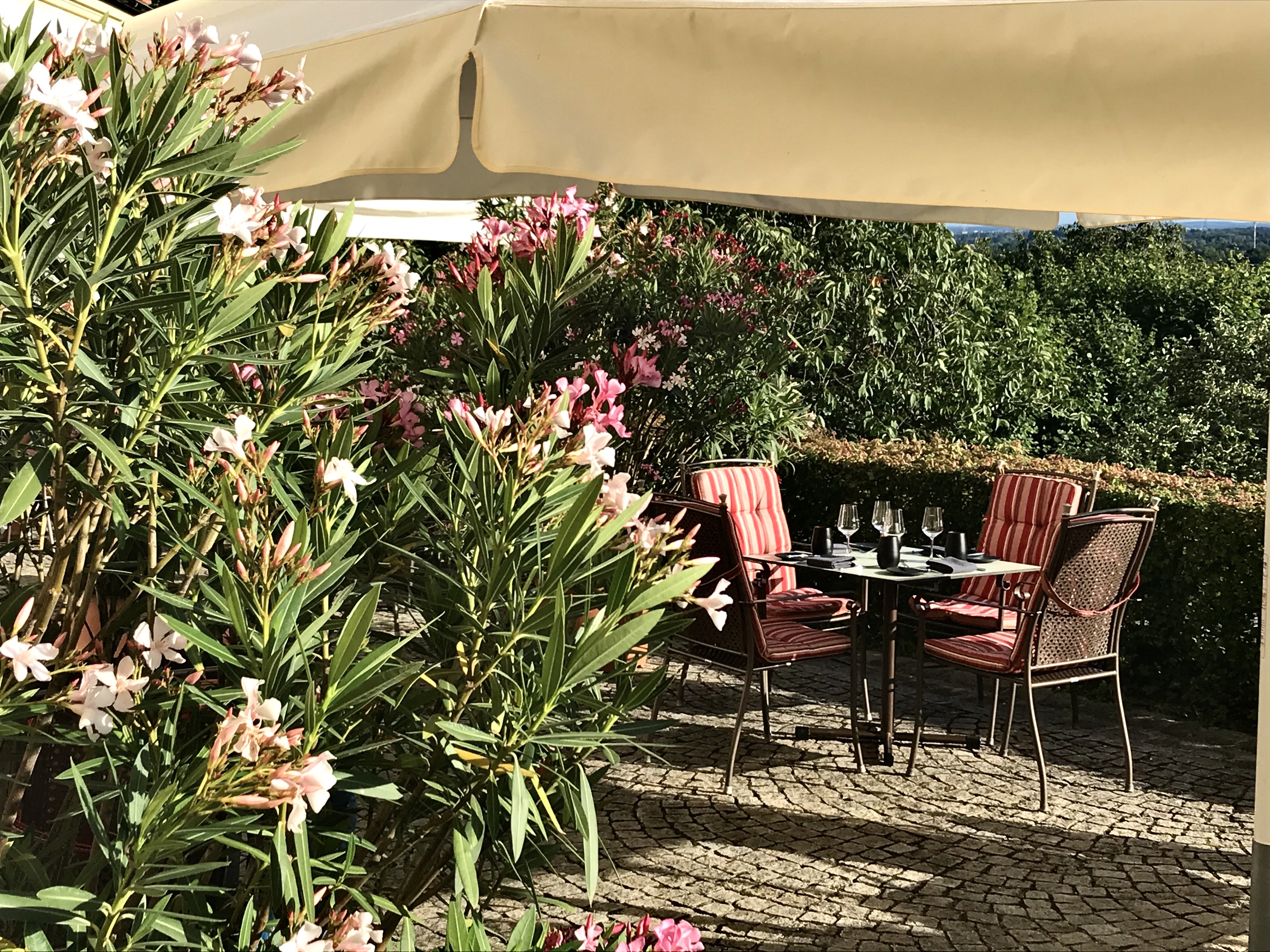 Hochzeitslocation: Schloss Dachau Hochzeitslocation | Eventlocation