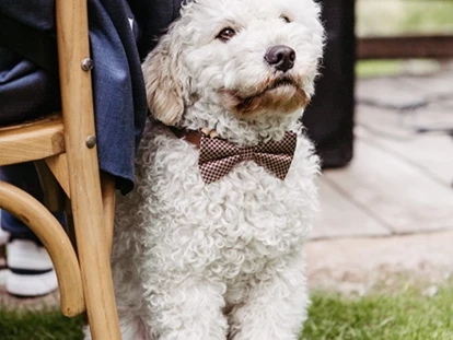 Hochzeit - Nals - ..dogs are welcome.. - Hochzeitslocation Castel Katzenzungen