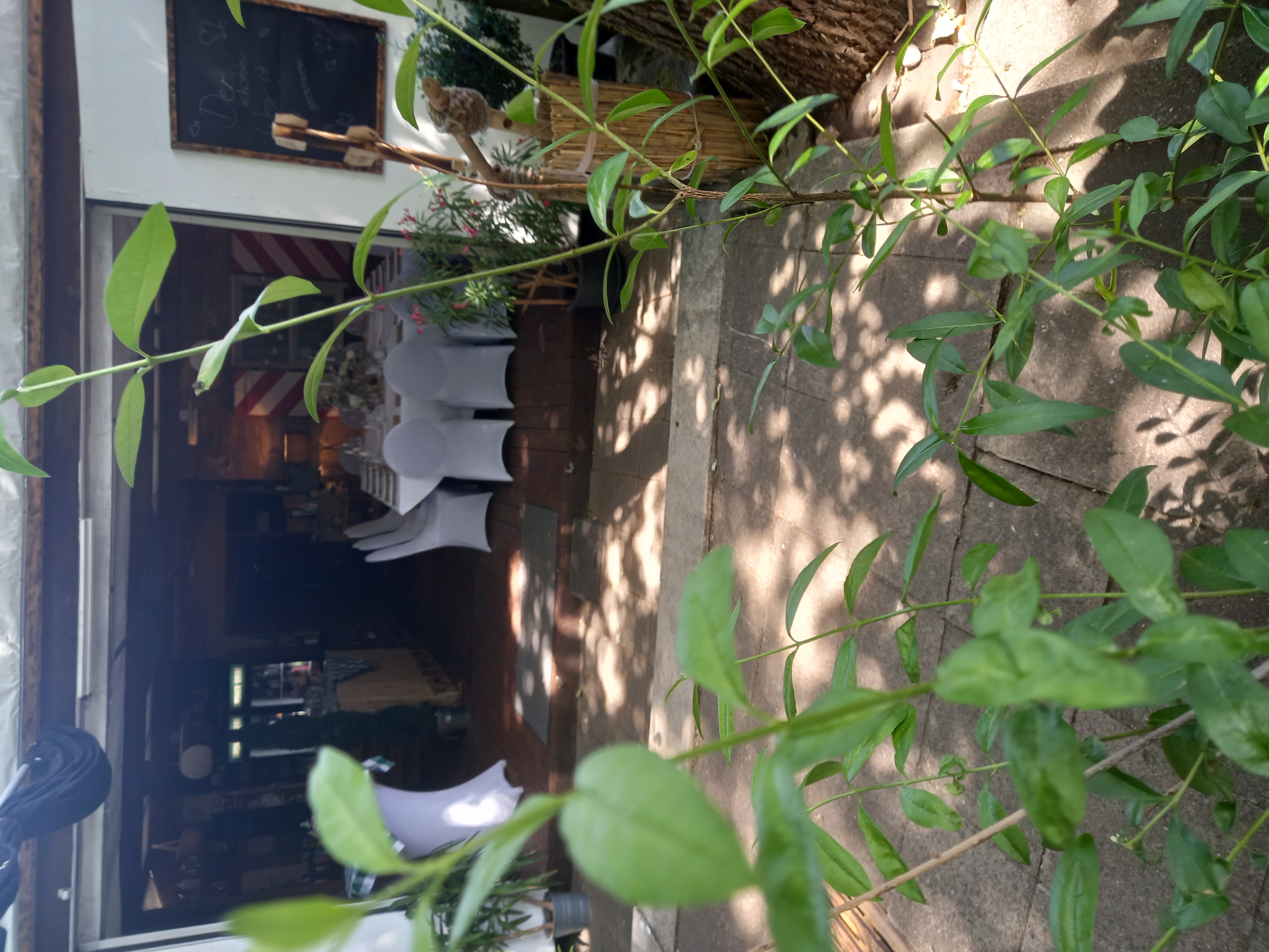 Altes Forsthaus Fürth  Information about the banquet halls chalet