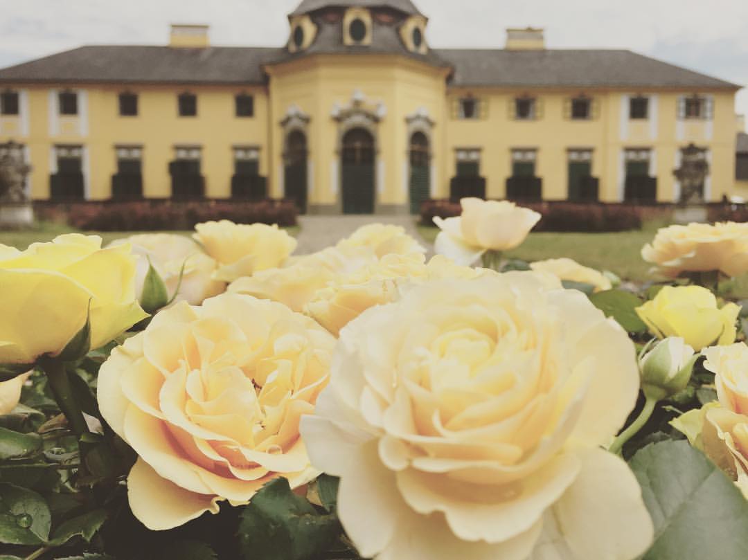 Mariage - Gunskirchen - Schloss Neuwartenburg