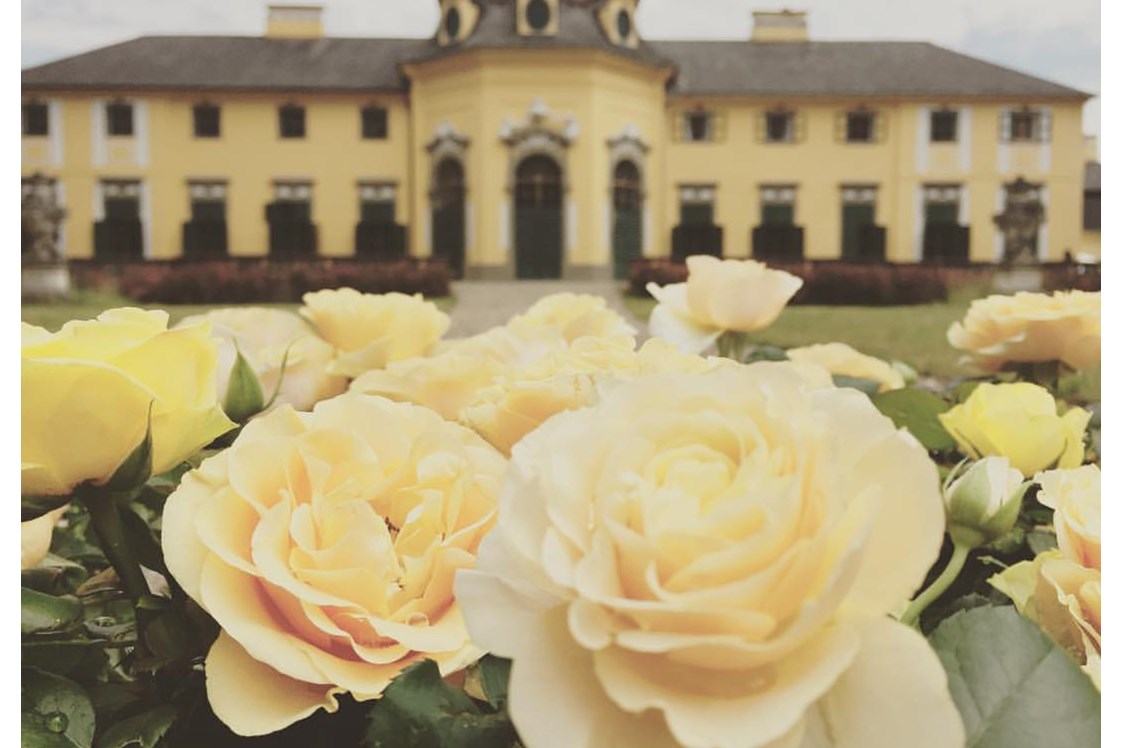 Hochzeit: Schloss Neuwartenburg