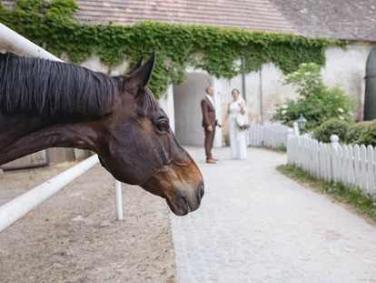 Matrimonio - Bisamberg - Eventschmiede - Gut Fabricius