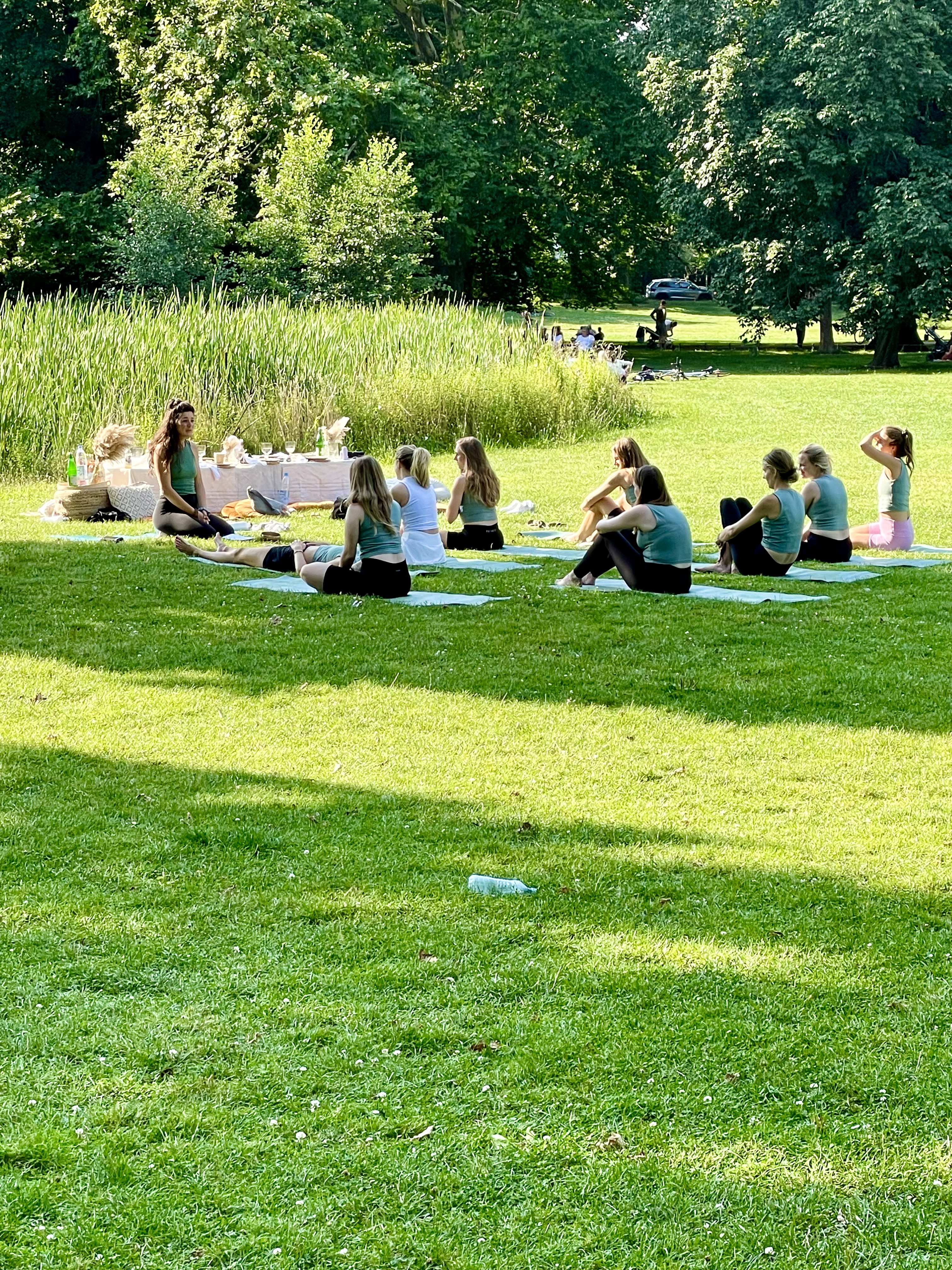 Hochzeit - Umgebung: in Weingärten - Sachsen - Leipzig Picknick