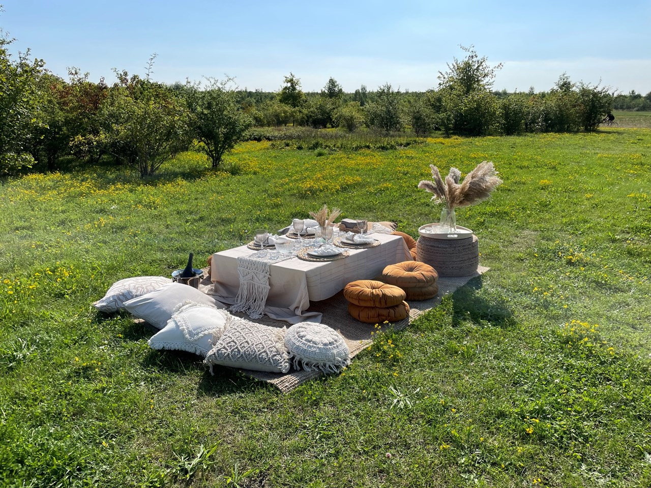 Leipzig Picknick Angaben zu den Festsälen Picknick