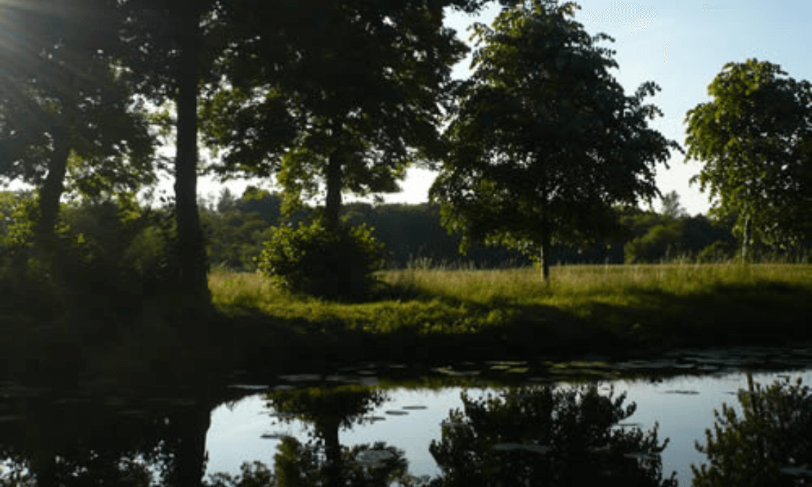 Weinhaus RICORDO Informations sur les salles de bal Avec vue sur le paysage fluvial