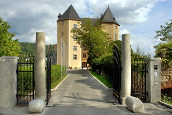 Hochzeit: Blick vom Schlosstor zum Schloss - Schloss Steyregg