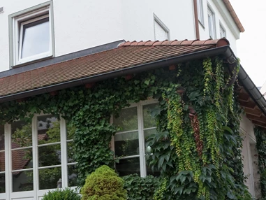 Hochzeitslocation: Hotel Restaurant zum Sonnenwirt