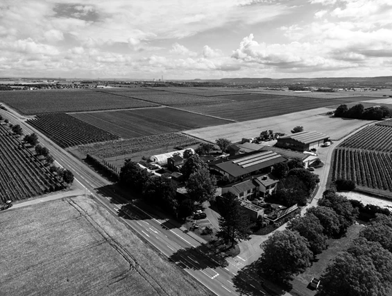 Hochzeitslocation: STENG Landgut am Rotenberg