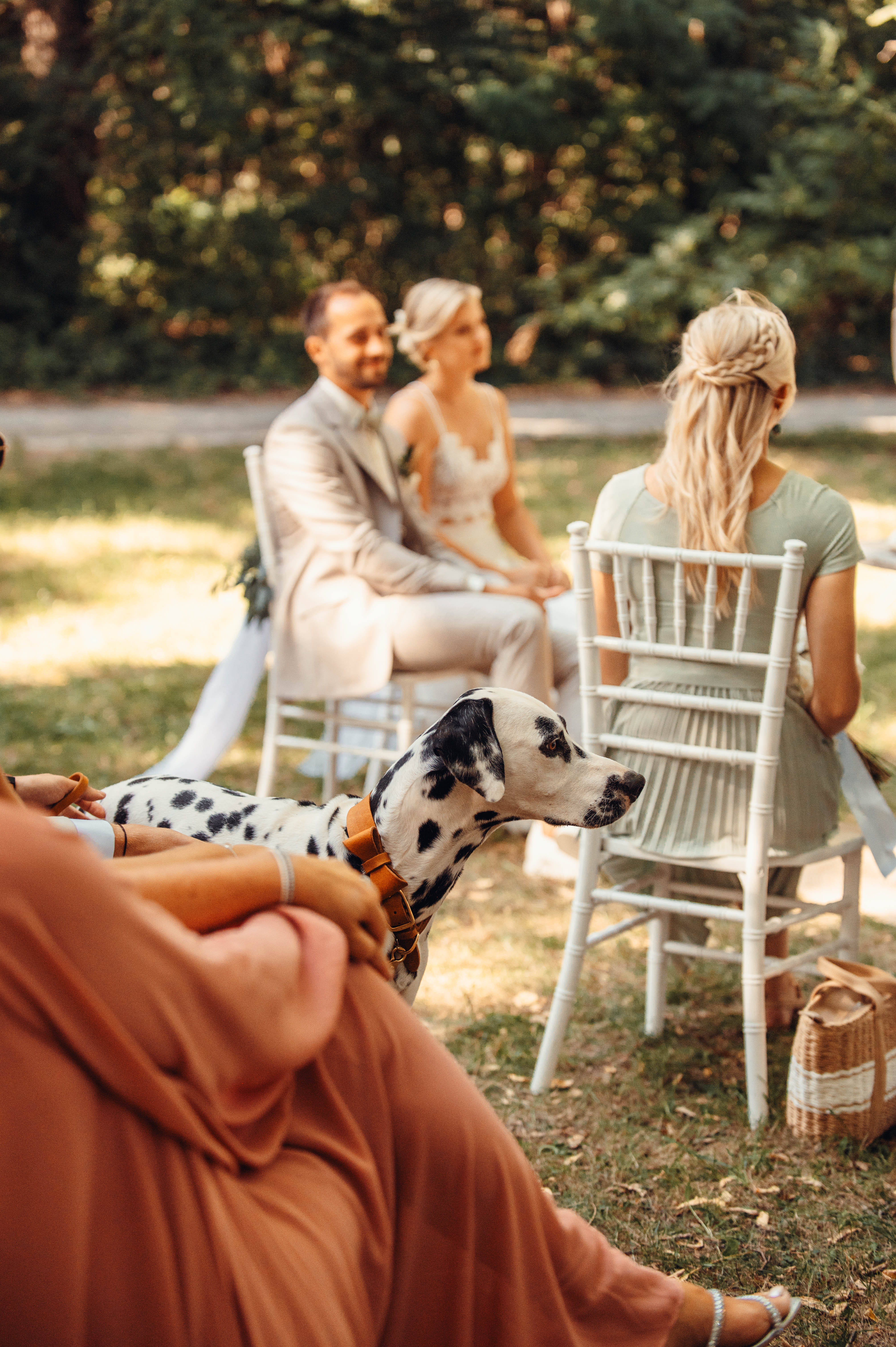 Hochzeitslocation: Copyright: Valerie Oberreiter Photography - ULME - Exklusive Waldlocation