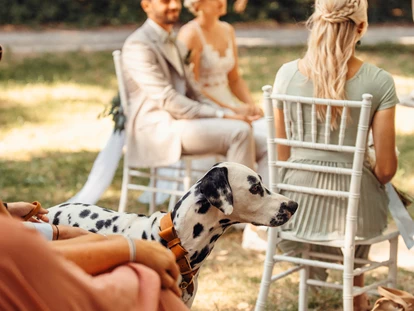Wedding - Bad Sauerbrunn - Copyright: Valerie Oberreiter Photography - ULME - Exklusive Waldlocation