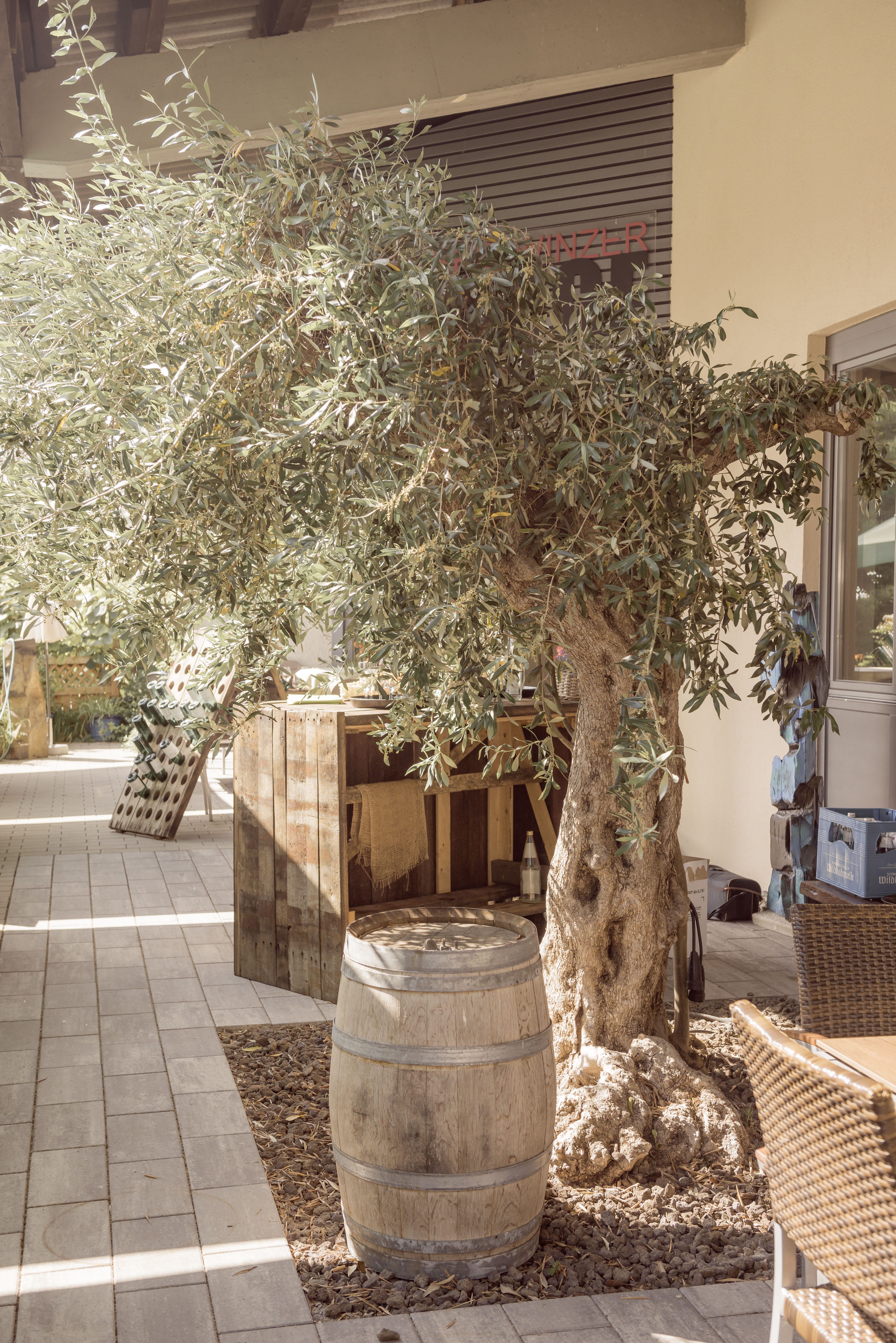 Bruiloft - Umgebung: in Weingärten - Duitsland - Hof - Weinstube Fischer