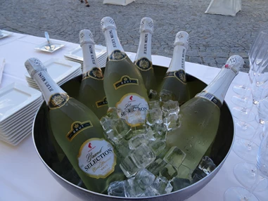 Hochzeitslocation: Hotel Wesenufer