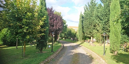 Mariage - Stromberg (Landkreis Bad Kreuznach) - Weingut M. Moebus