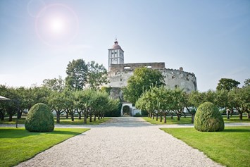 Hochzeit: Renaissancegarten - Schallaburg