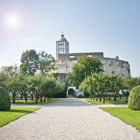 Hochzeit: Renaissancegarten - Schallaburg