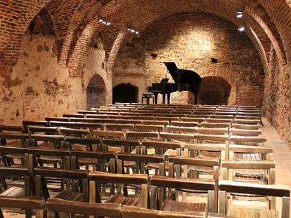 Wedding - Pottenbrunn - großer Schlosskeller - Schallaburg