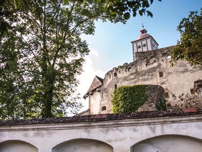 Wedding - Pottenbrunn - Renaissancegarten - Schallaburg
